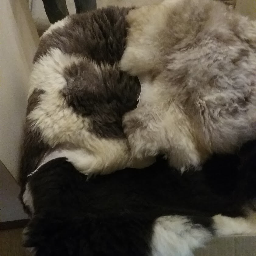 Sheepskins by Ewesfluffy Fiber